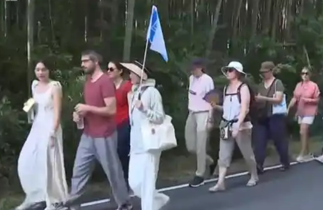 暴漲96%！一季度“中國游 中國購”持續(xù)升溫