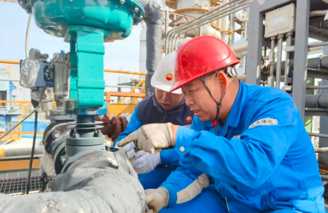 大慶煉化：“新帶老”激活雙向成長引擎