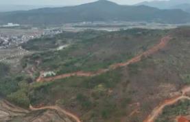 廣東三年來提升千畝級(jí)森林斑塊1030個(gè)