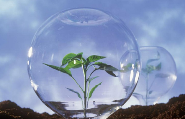 新修訂《中華人民共和國植物新品種保護(hù)條例》2025年6月1日起施行