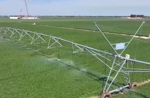 AI大模型助力糧食生產(chǎn) 我國夏糧進(jìn)入產(chǎn)量形成關(guān)鍵期