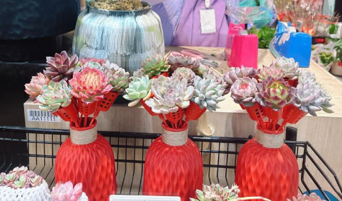 “鮮花+”帶來新業(yè)態(tài)消費市場繁花似錦