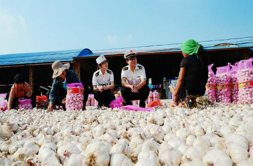 今年一季度山東農(nóng)產(chǎn)品出口值近四百億元