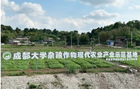 成都大學(xué)： 構(gòu)建從“一粒種子”到“一桌美食”的全鏈條創(chuàng)新