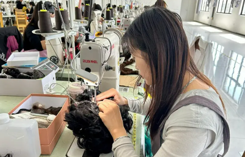 安徽太和：一根發(fā)絲“俏”動(dòng)全球