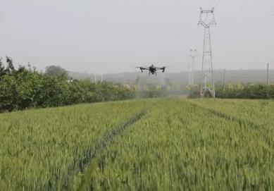 從“經(jīng)驗種田”到“數(shù)據(jù)種地” 智慧農(nóng)業(yè)為夏糧豐產(chǎn)豐收保駕護航