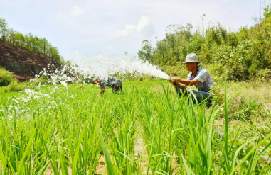 打好抗旱主動仗 助農(nóng)穩(wěn)產(chǎn)保豐收——多地抗旱保農(nóng)一線觀察