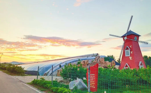 特色產(chǎn)業(yè)激活鄉(xiāng)村振興新動(dòng)能