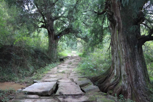 蜀道“五一”上新 對話“歷史”成時尚