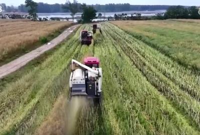 農(nóng)業(yè)生產(chǎn)有“智”又有“質(zhì)” 硬核科技夯實豐收基礎(chǔ) 開辟增產(chǎn)節(jié)本新途徑