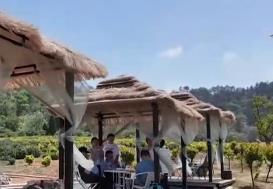 旅游消費從中心城鎮(zhèn)向農(nóng)村市場擴散 鄉(xiāng)村旅游煥發(fā)雙向奔赴新活力