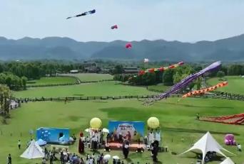 風箏盛宴、科技樂園、非遺茶道……多業(yè)態(tài)融合促夏日鄉(xiāng)村游消費升溫