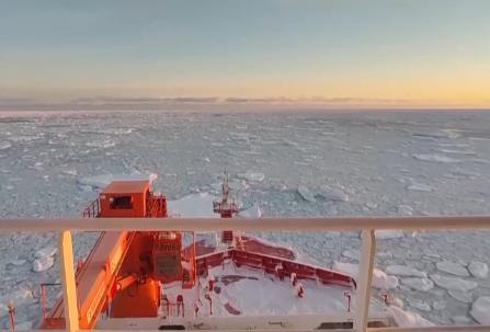 涉及海冰研究、海洋生物等 我國(guó)南極科考有了新發(fā)現(xiàn)