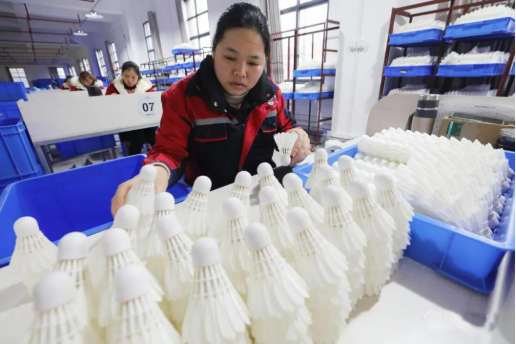 小羽毛撬動大市場：羽毛球產(chǎn)業(yè)如何破解漲價困局?