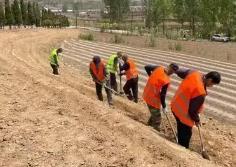 山西壽陽：精品廊帶鋪就致富路 鄉(xiāng)村振興邁向新高度