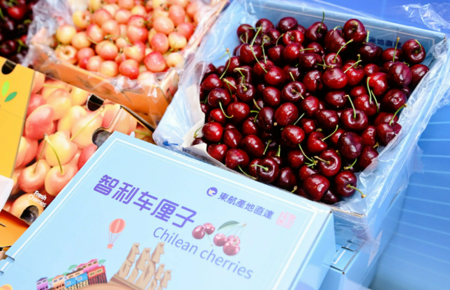 連續(xù)十多年，智利穩(wěn)坐我國進(jìn)口車?yán)遄拥谝淮髞碓吹?></a></div><!-- img end -->	<div   id=