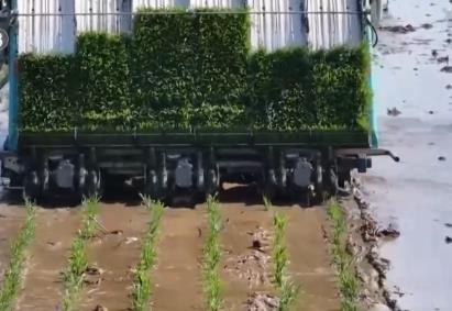 智慧農(nóng)業(yè)顯身手跑出生產(chǎn)“加速度” 千里沃野按下夏糧豐收“確定鍵”