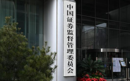 證監(jiān)會(huì)：從嚴(yán)打擊虛構(gòu)業(yè)務(wù)等惡性造假行為