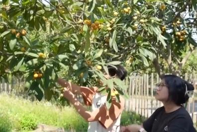 嘗“鮮”經(jīng)濟(jì)帶火旅游消費(fèi) 激活吃、住、游、購(gòu)、娛綜合消費(fèi)新動(dòng)能