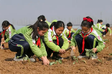 創(chuàng)新社科人才培養(yǎng)模式 全國(guó)田野課堂教學(xué)聯(lián)盟在京成立