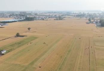 智能農機“唱主角” 希望的田野描繪好“豐”景