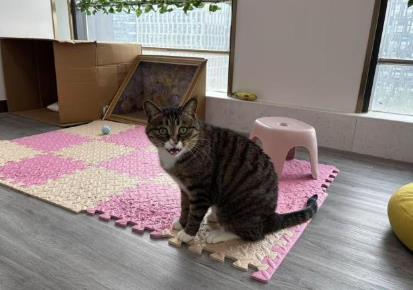 動(dòng)物變身“療愈師” 助力兒童心理康復(fù)