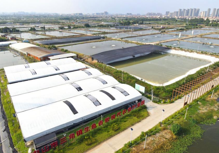 中國(guó)移動(dòng)5G助力“中國(guó)生魚(yú)之鄉(xiāng)”書(shū)寫(xiě)鄉(xiāng)村致富經(jīng)