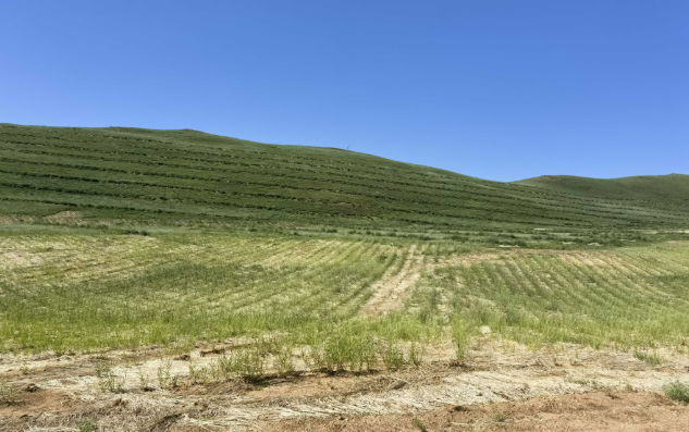 內(nèi)蒙古錫林郭勒：科技創(chuàng)新助力精準(zhǔn)高效治沙