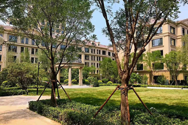 天津房地產(chǎn)多項(xiàng)指標(biāo)持續(xù)增長 市場回穩(wěn)形勢繼續(xù)鞏固