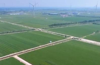 特色產業(yè)一派好“豐”光 “花果經濟”激活鄉(xiāng)村振興 “新引擎”