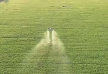 護航小麥穩(wěn)產豐收 田間管理舉措“一噴三防”到底是什么？