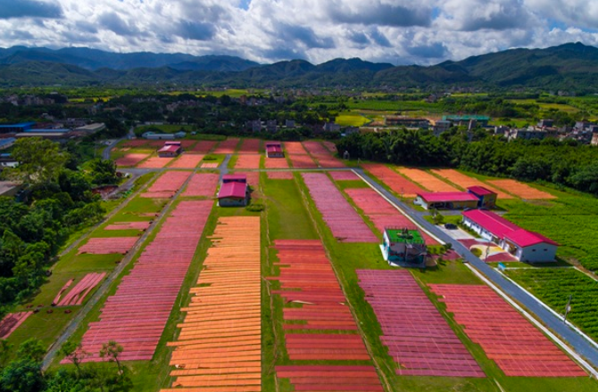 廣新控股集團(tuán)強(qiáng)化ESG治理 為高質(zhì)量發(fā)展注入動(dòng)能