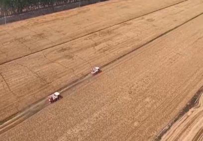 全國夏糧搶收進(jìn)行時 1700萬臺套農(nóng)機(jī)具戰(zhàn)“三夏”