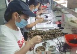 廣東茂名： 特色金融助力沉香產(chǎn)業(yè)騰飛