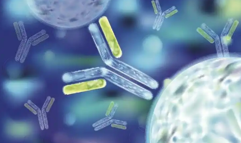 百奧幾何：以科學(xué)智能實現(xiàn)蛋白質(zhì)“設(shè)計自由”