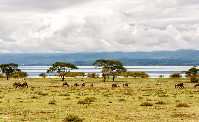 旅游業(yè)推動非洲經濟可持續(xù)發(fā)展
