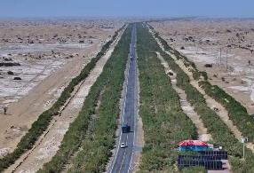 內(nèi)蒙古“三北”工程攻堅(jiān)戰(zhàn)取得重大成果