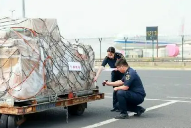 今年前四月出口突破兩千億元 北京“空側(cè)直通”為企業(yè)降低通關(guān)成本