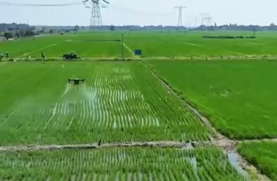 農(nóng)技護(hù)航、智慧種田 “三夏”時節(jié)各地都在搶農(nóng)時 忙耕種