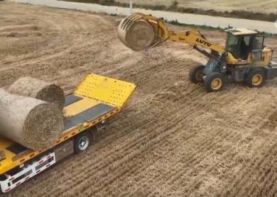 “AI助手”給小麥“全身體檢”、農(nóng)機(jī)新裝備搶盡風(fēng)頭……多維度解鎖“三夏”智變