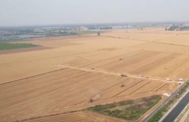 “三夏”小麥機(jī)收全面展開(kāi) 智慧氣象“搶”出麥?zhǔn)铡凹铀俣取?></a></div><!-- img end -->	<div   id=