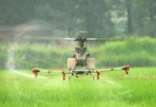 氯蟲(chóng)苯甲酰胺供應(yīng)“近憂”凸顯