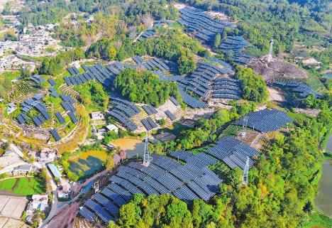 國內(nèi)單體規(guī)模最大“茶光互補”電站并網(wǎng)