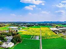 四川印發(fā)省級農(nóng)業(yè)高新技術(shù)產(chǎn)業(yè)園區(qū)建設(shè)“施工圖”