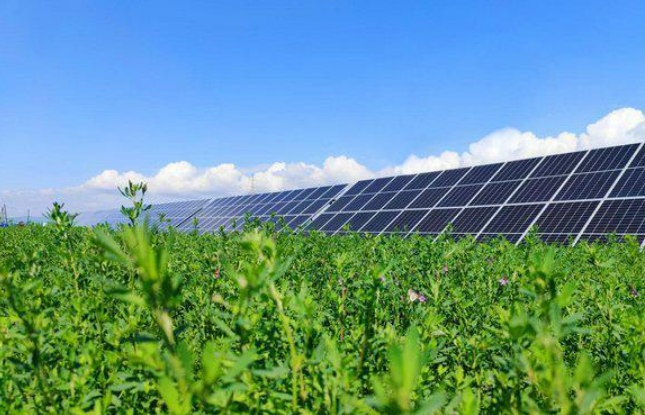 馳而不息向“綠”而行 ——黑龍江龍煤集團(tuán)踐行社會(huì)責(zé)任推進(jìn)綠色發(fā)展