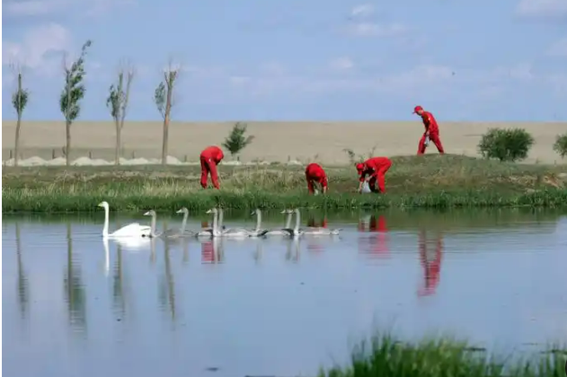 厚植生態(tài)底色 共建美麗中國——中國石油發(fā)布《2024年環(huán)境保護(hù)公報(bào)》