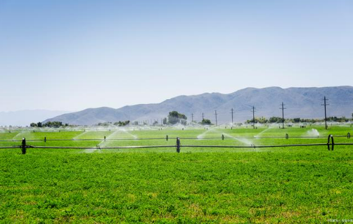 全面摸清“三農(nóng)”家底 服務(wù)農(nóng)業(yè)強(qiáng)國建設(shè)