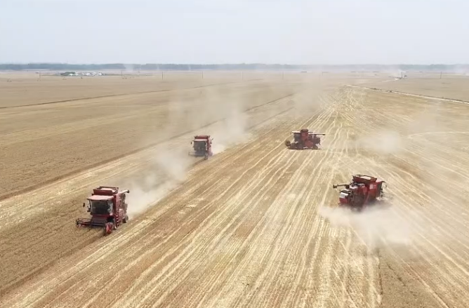 新鄉(xiāng)封丘：護航“三夏”全鏈條 暢通麥收黃金通道