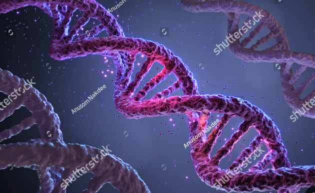 把數(shù)據(jù)刻進(jìn)DNA！海量信息存儲(chǔ)打開(kāi)新思路