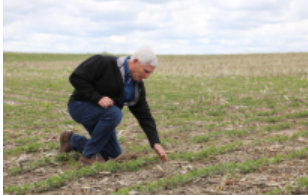 美國“糧倉”一線觀察：關稅政策沖擊下的農民春播之困